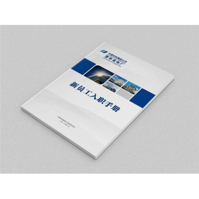 電力行業(yè)員工手冊設(shè)計賞析