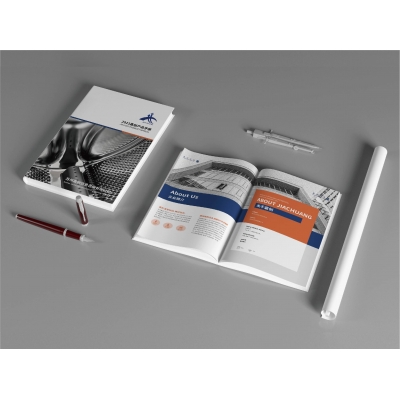 智能物聯(lián)行業(yè)宣傳畫冊設(shè)計賞析